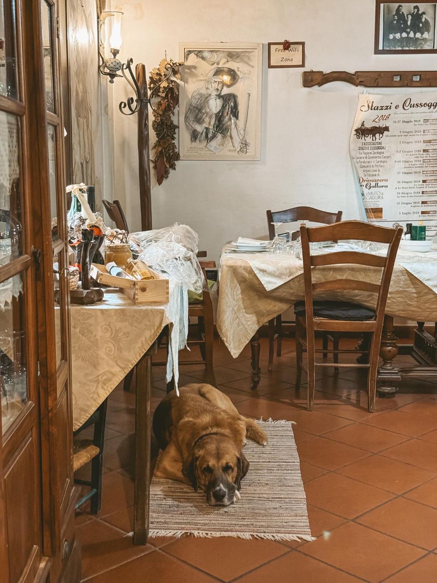 Agriturismo Il Muto Di Gallura Aggius Εξωτερικό φωτογραφία
