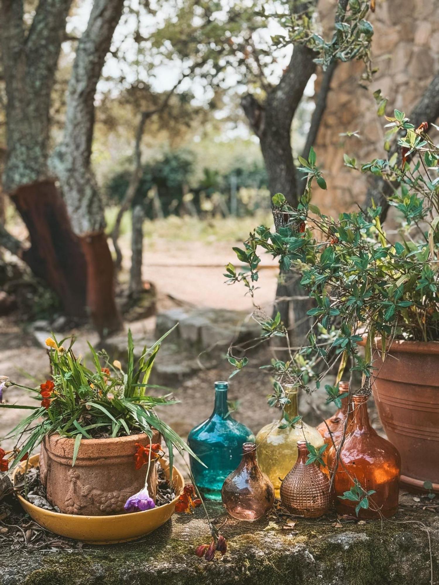 Agriturismo Il Muto Di Gallura Aggius Εξωτερικό φωτογραφία