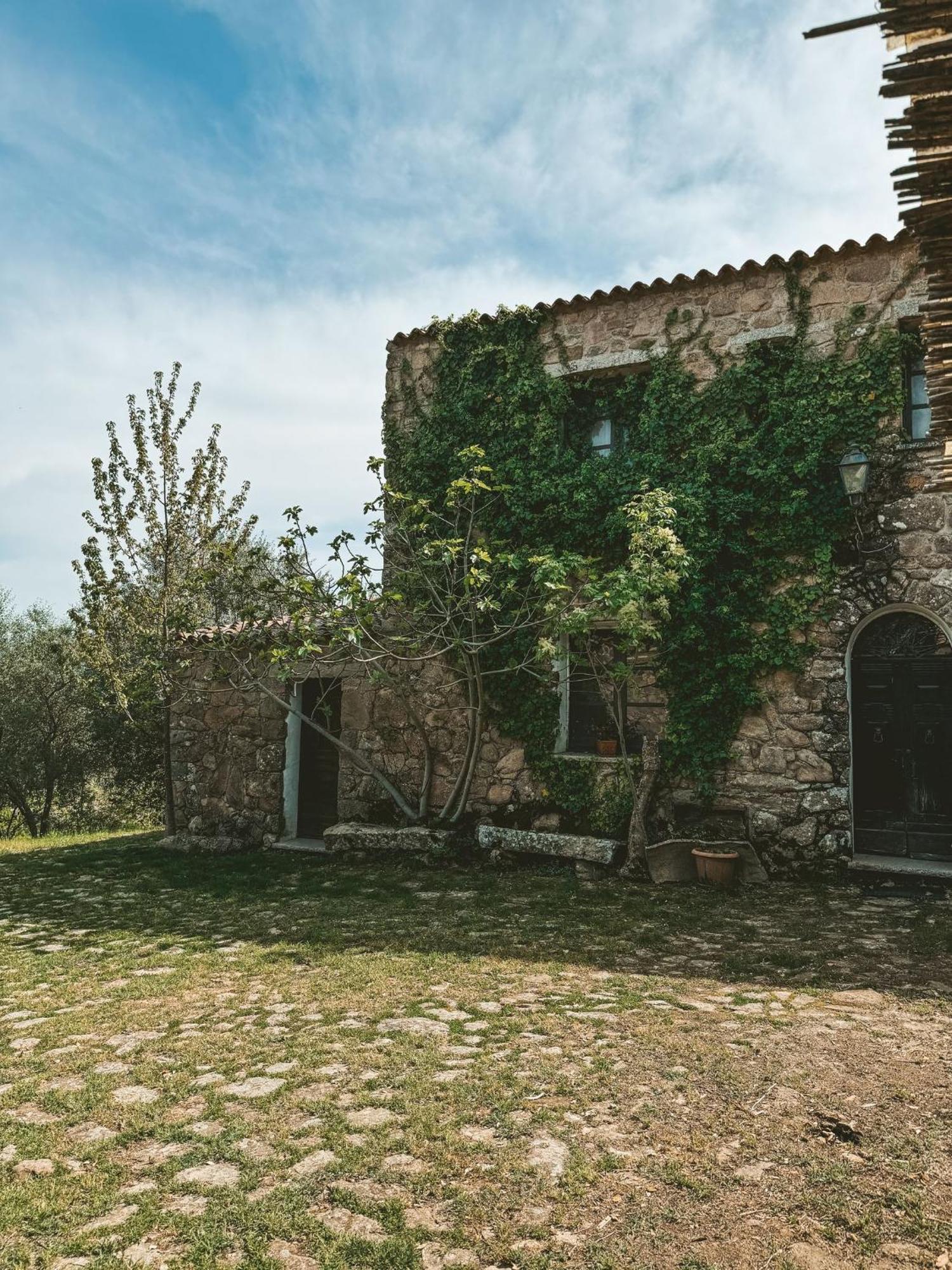 Agriturismo Il Muto Di Gallura Aggius Εξωτερικό φωτογραφία