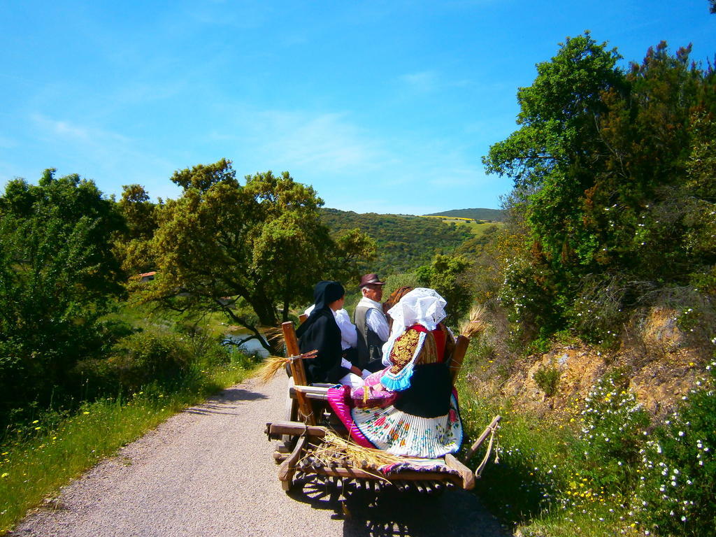 Agriturismo Il Muto Di Gallura Aggius Εξωτερικό φωτογραφία