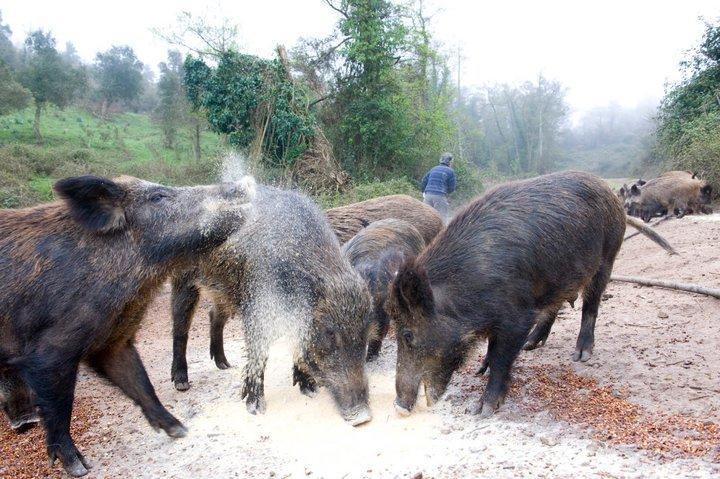 Agriturismo Il Muto Di Gallura Aggius Εξωτερικό φωτογραφία
