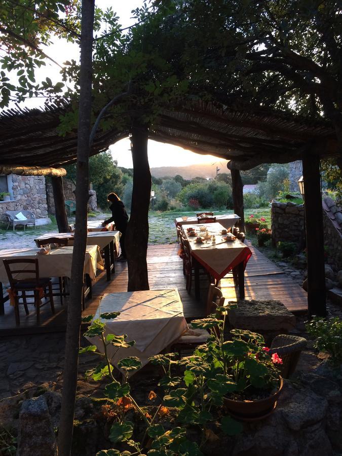 Agriturismo Il Muto Di Gallura Aggius Εξωτερικό φωτογραφία