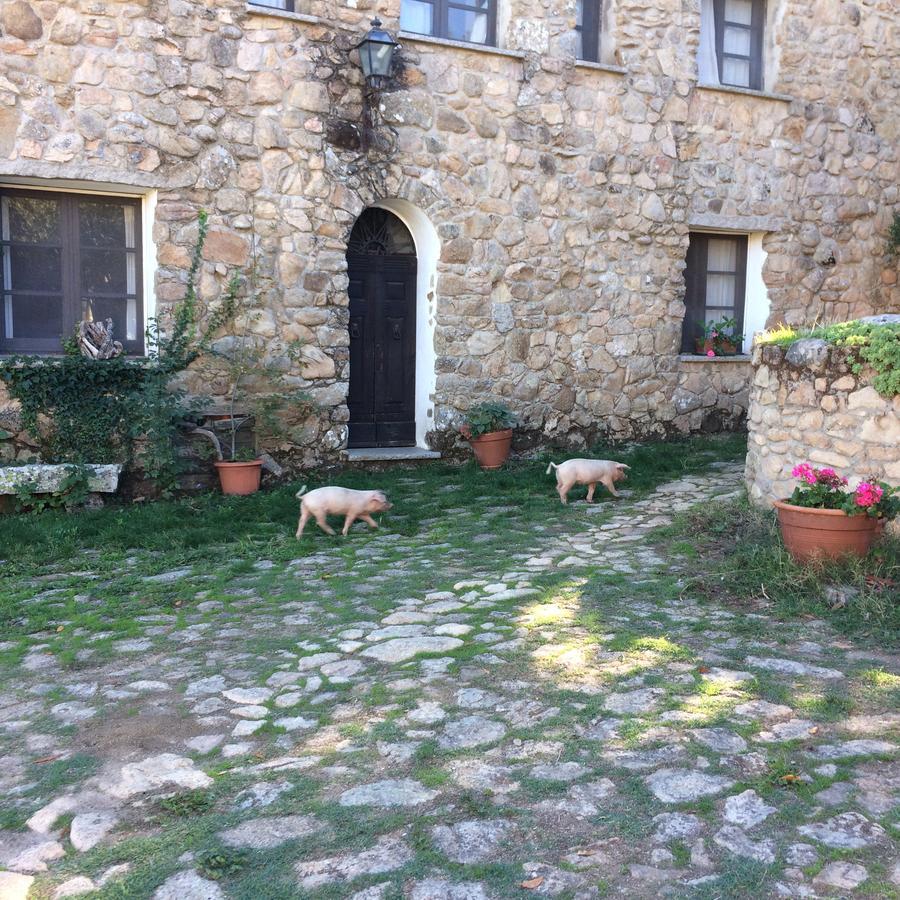 Agriturismo Il Muto Di Gallura Aggius Εξωτερικό φωτογραφία