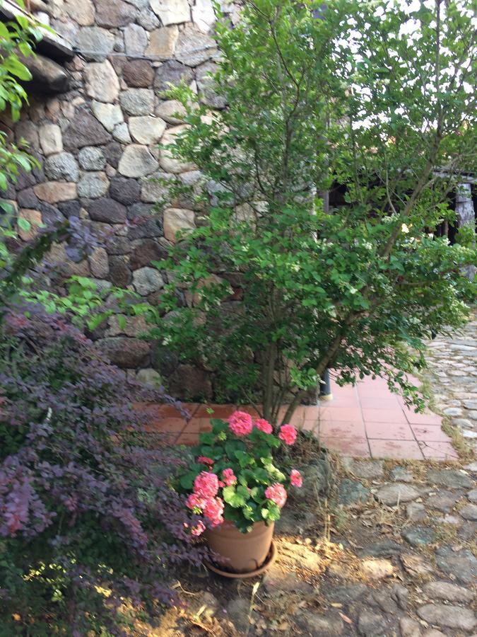 Agriturismo Il Muto Di Gallura Aggius Εξωτερικό φωτογραφία